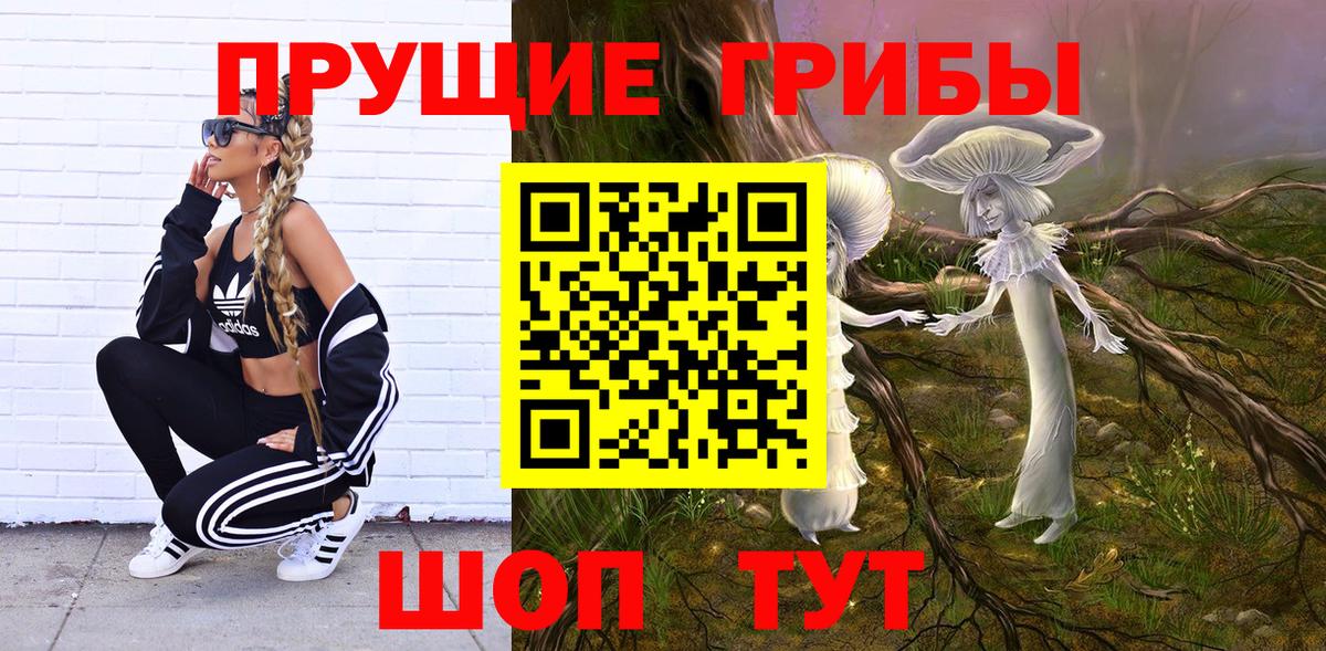 Галлюциногенные грибы Psilocybine cubensis Вышний Волочёк